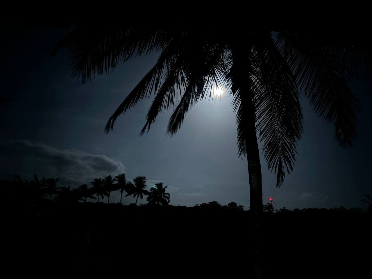 Ashram View 5